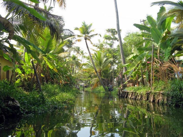 Alapatt Homestay Alappuzha Exteriér fotografie